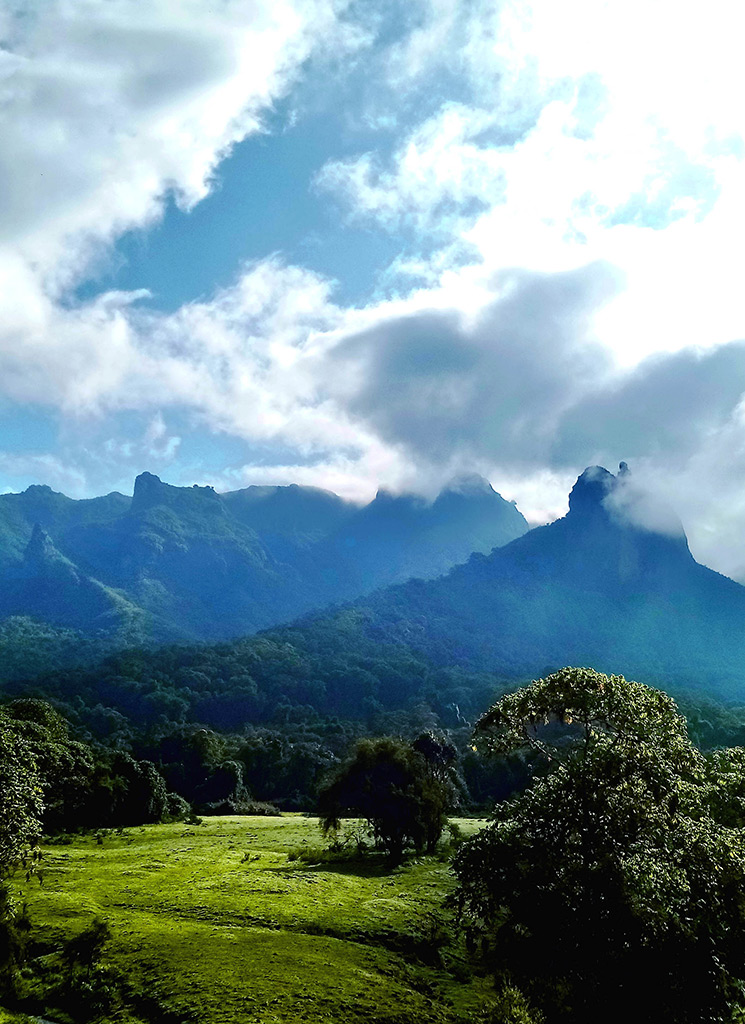 Bale_Mountain (2)