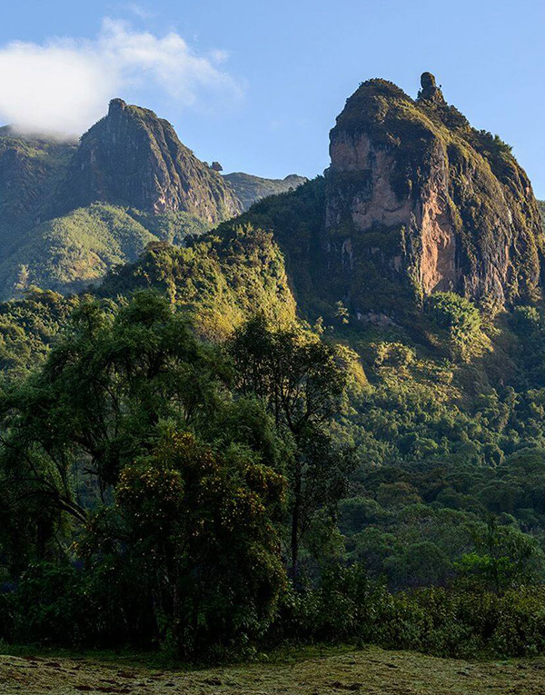 bale-mountain