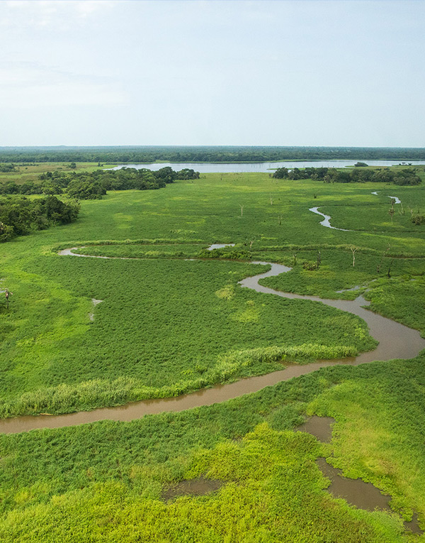 gambela-national-park