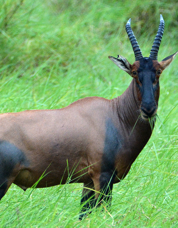 omo-national-park