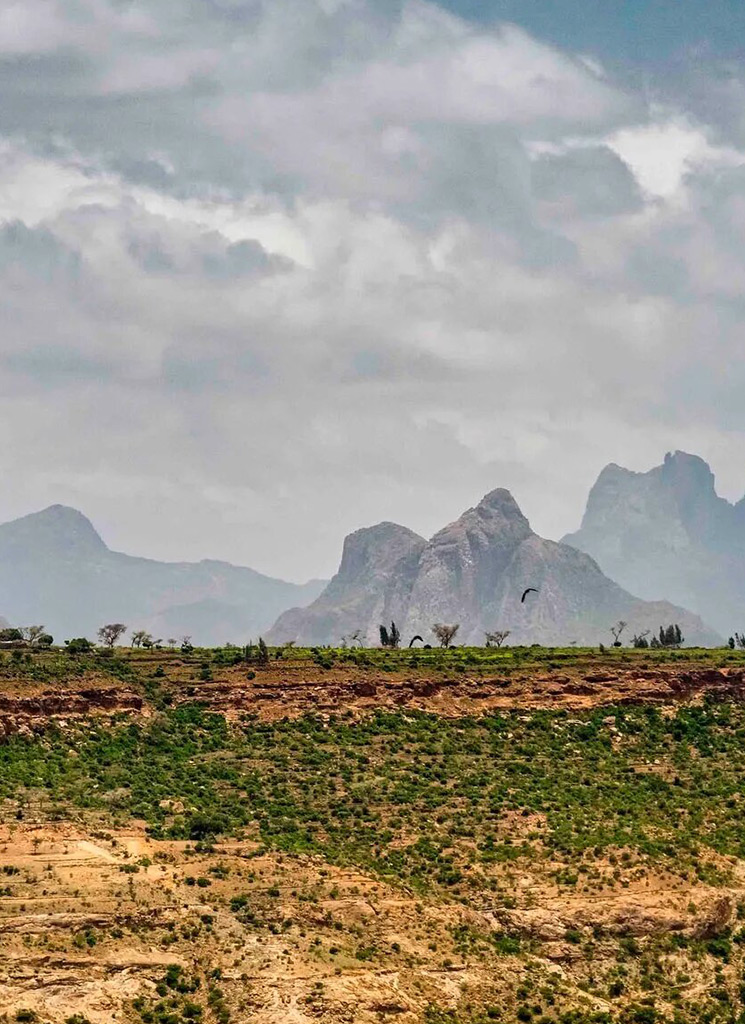 tigray_rod_waddington_crop